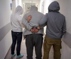 Nowy pies w małopolskiej policji