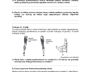 Arkusz biologia podstwowy matura 2014