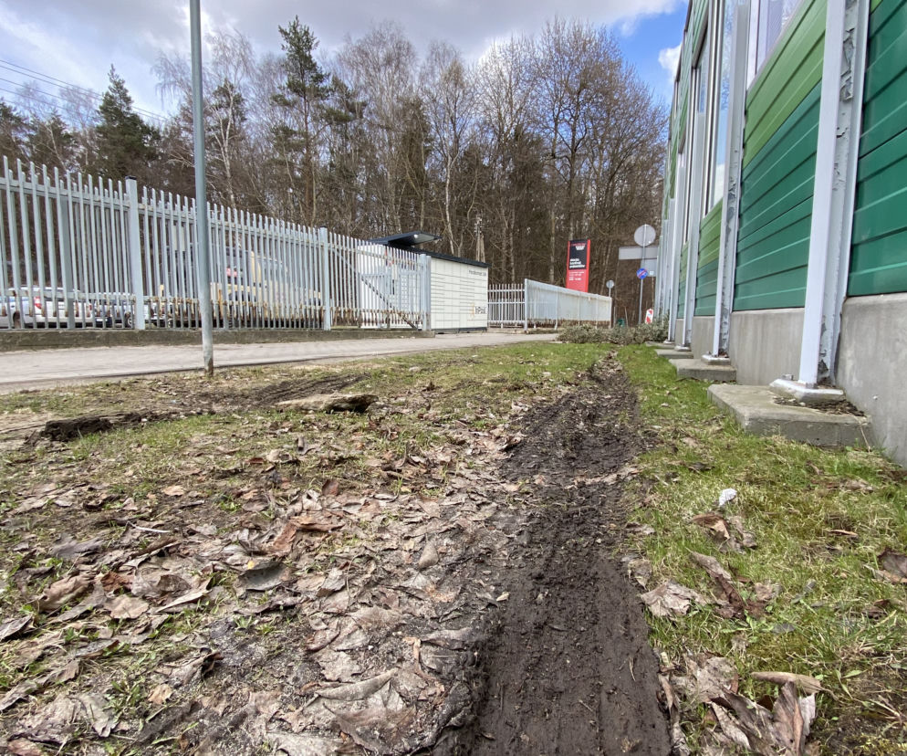 Koleiny przed paczkomatem przy ulicy Chwarznieńskiej w Gdyni