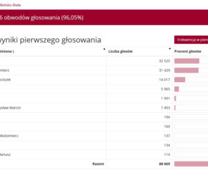 Wybory prezydenckie 2020 w woj. śląskim. W Katowicach i Sosnowcu wygrał Rafał Trzaskowski [WYNIKI W MIASTACH I POWIATACH]
