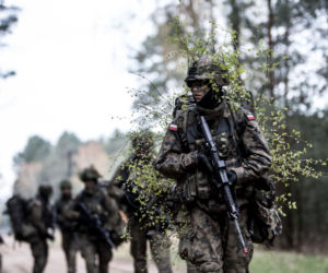 Powołania do podkarpackich Wojsk Obrony Terytorialnej