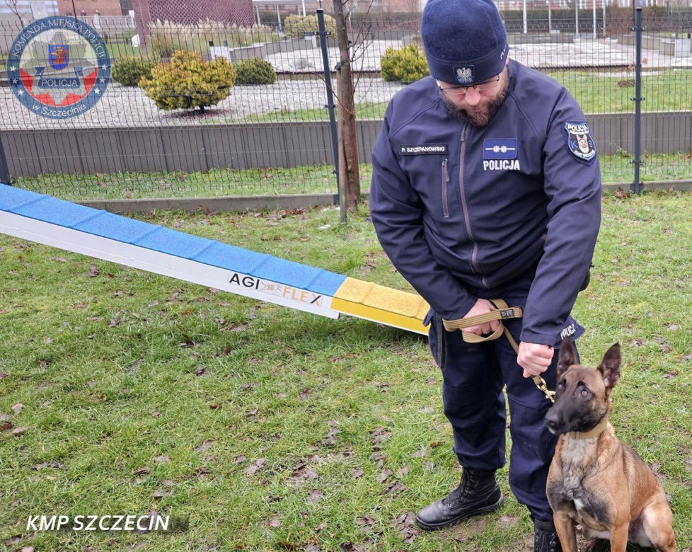 Nowe psy w zachodniopomorskiej policji