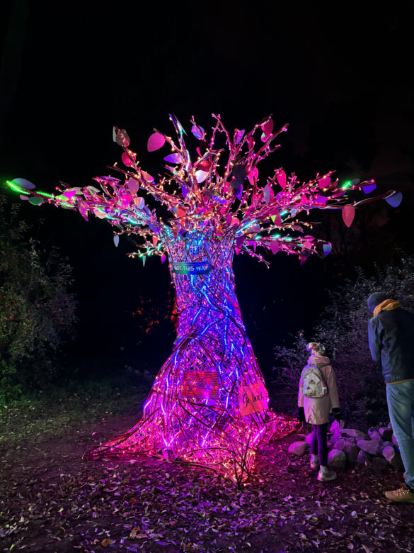 Otwarcie Lumina Parku w Poznaniu. Tegoroczne świecące miasteczko robi fenomenalne wrażenie!