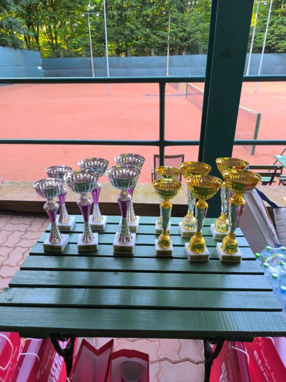 Tenis ziemny