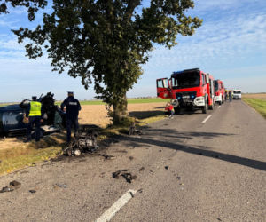 Poważny wypadek w powiecie gostyńskim. Kierowca uderzył autem w drzewo