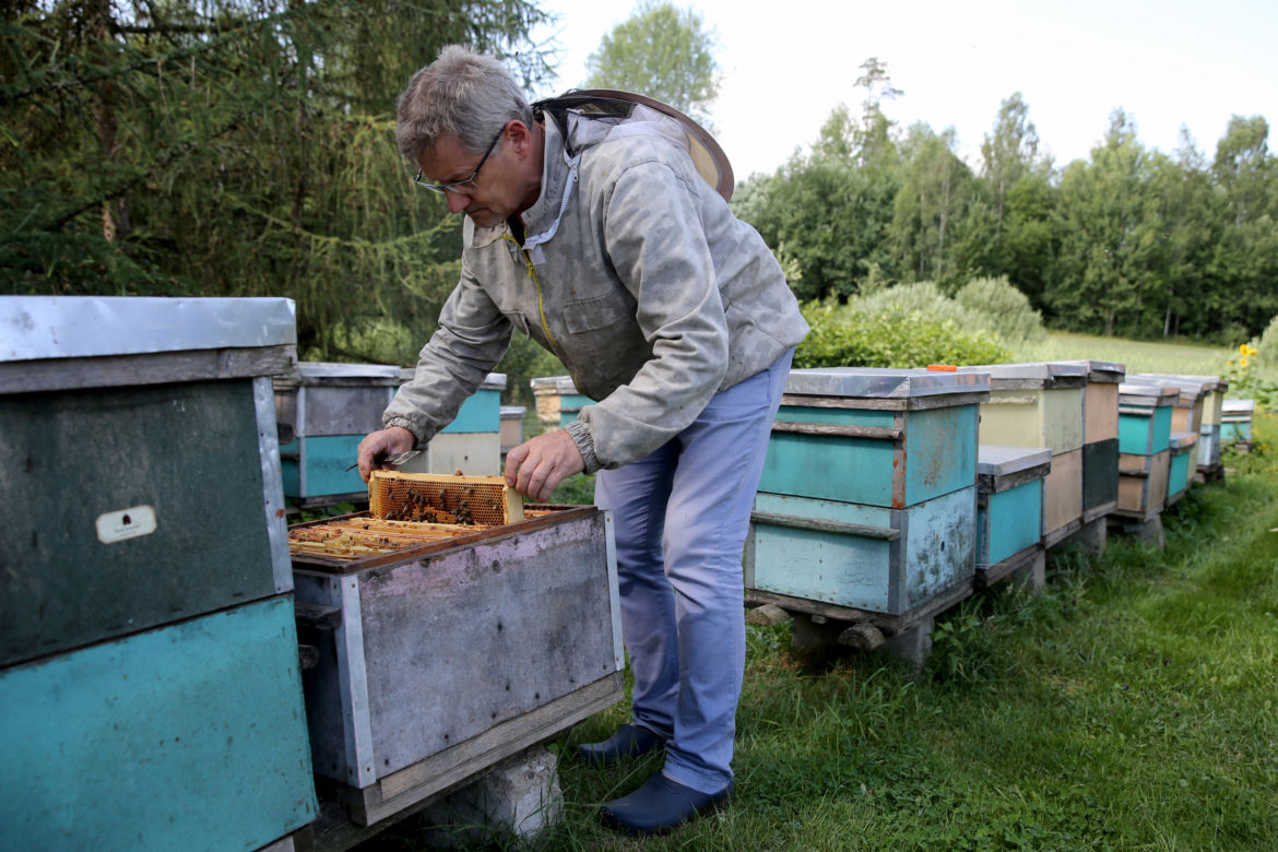 Mój miód kładzie na kolana