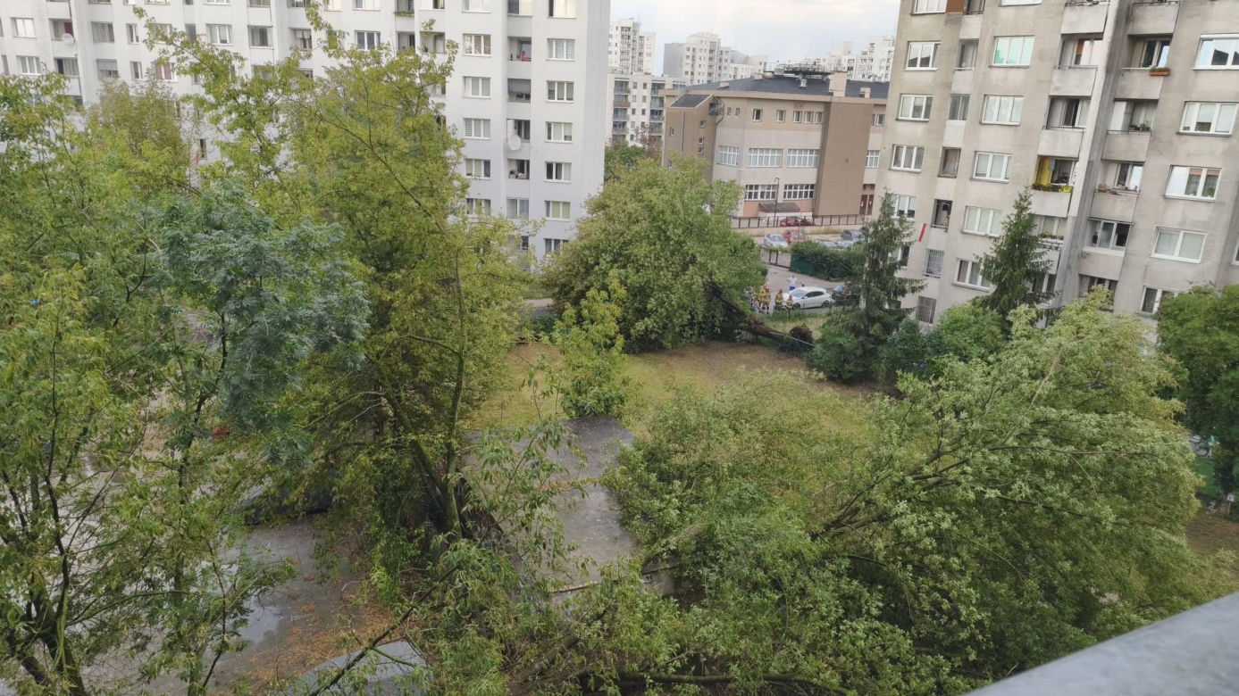 Gwałtowna burza nad Warszawą. Drzewa wyrwane z korzeniami w 5 minut!