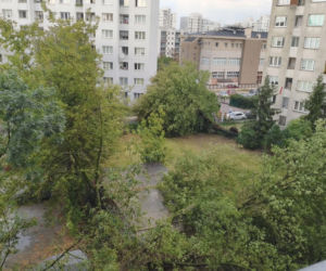 Gwałtowna burza nad Warszawą. Drzewa wyrwane z korzeniami w 5 minut!
