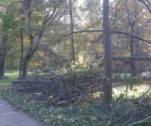 Skutki wichury we Wrocławiu