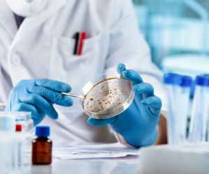 Ognisko groźnego wirusa tuż przy polskiej granicy. Niemcy natychmiast wyznaczają strefy zagrożenia