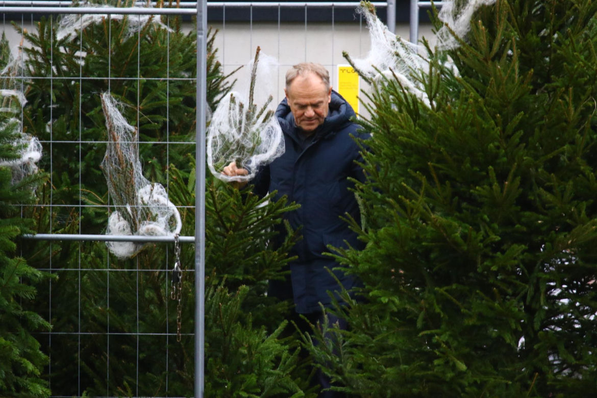 Donald Tusk z zięciem dźwigają gigantyczną choinkę. A za nimi drepcze Kasia z drugą. Wnusie premiera jak księżniczki