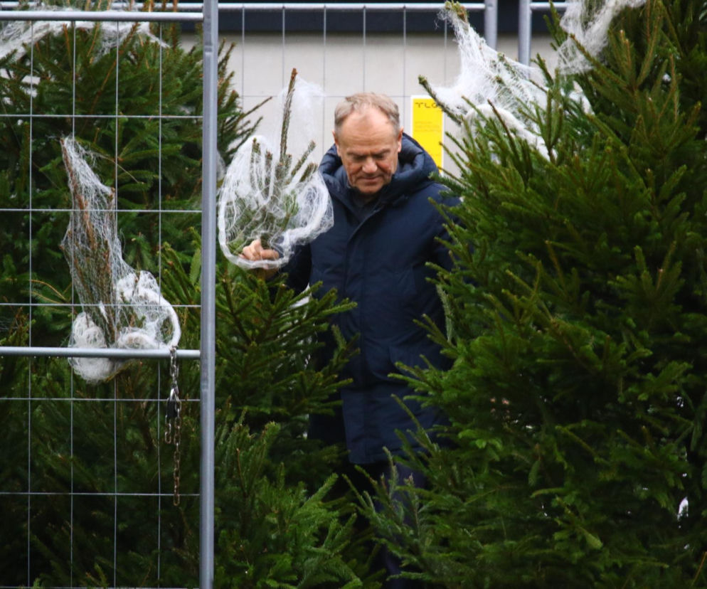 Donald Tusk kupił dwie choinki. Wiemy, ile zapłacił
