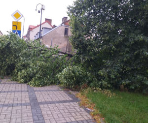 Burza w Płocku