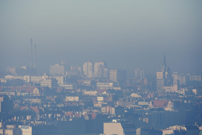 W tym mieście roi się od zanieczyszczeń. Jakość powietrza pozostawia wiele do życzenia