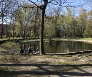 Katowice: Tłumy w Parku Kościuszki. Mieszkańcy ruszyli na spacery