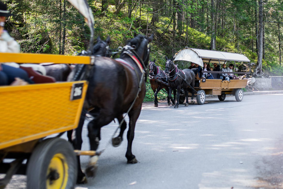 Bryczki jeżdżące nad Morskie Oko