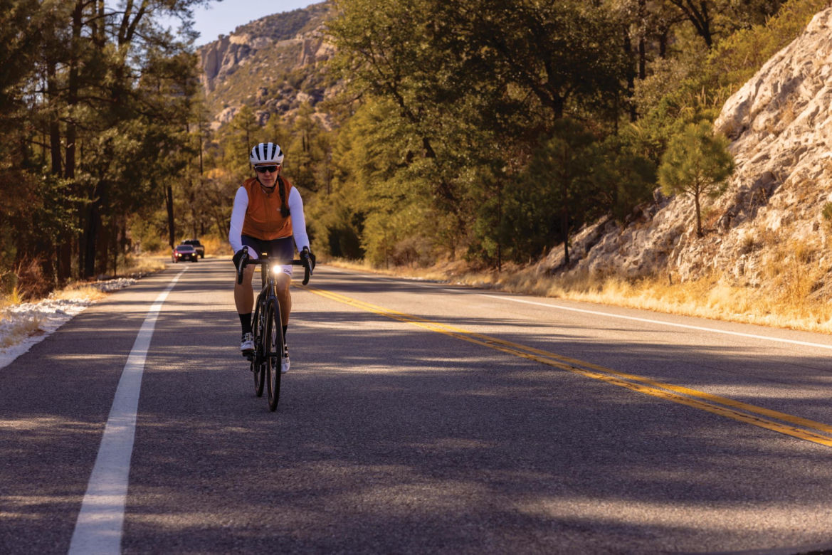Garmin Varia Vue