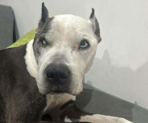 16-letnia Dira zaginęła w mrozie. Leżała w polu i nie mogła wstać