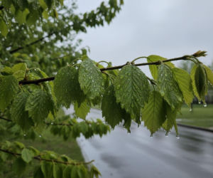Pogoda na weekend w Olsztynie 24-26 kwietnia. Po ciepłym początku przyjdzie gwałtowne ochłodzenie