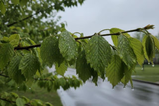 Pogoda na weekend w Olsztynie 24-26 kwietnia. Po ciepłym początku przyjdzie gwałtowne ochłodzenie