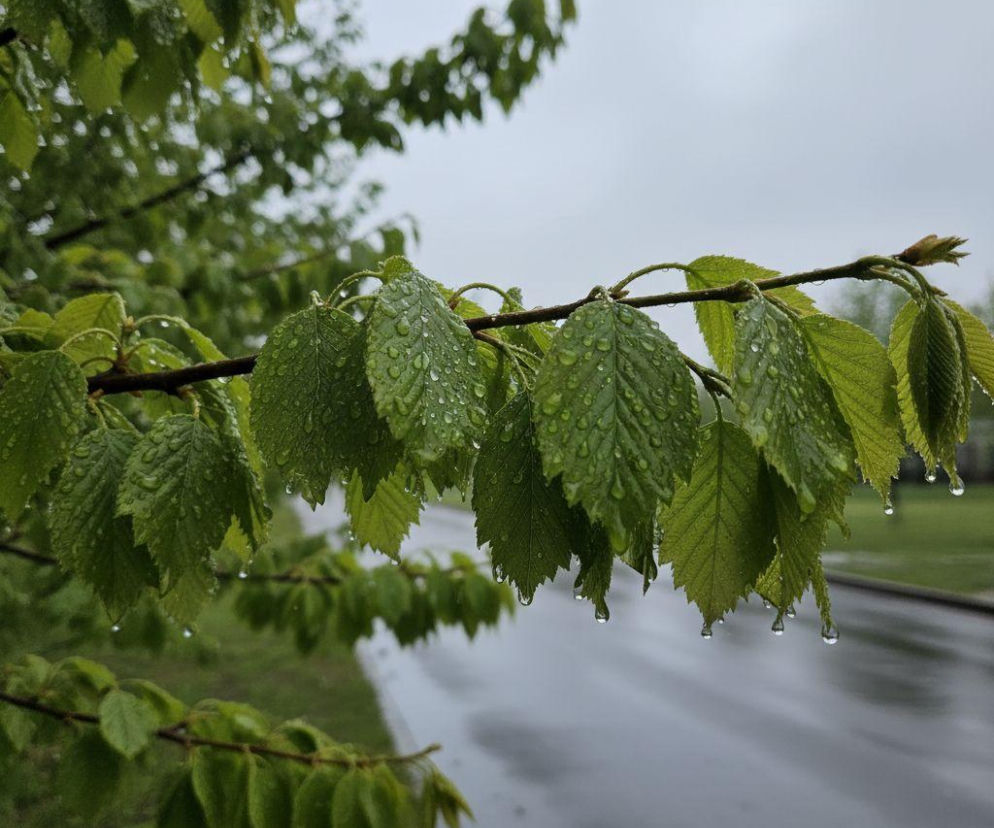Pogoda na weekend w Olsztynie 24-26 kwietnia. Po ciepłym początku przyjdzie gwałtowne ochłodzenie
