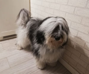 Milka