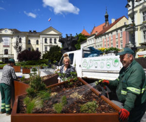 Centrum Bydgoszczy będzie bardziej kolorowe