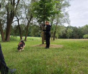 Psy służbowe, szkolenia i strefa pierwszej pomocy. Trwa drugi dzień CERBERUS K9 w Ostrowie