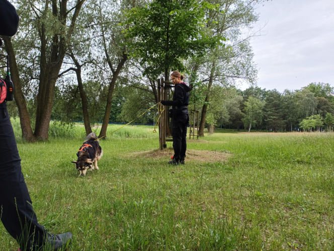 Psy służbowe, szkolenia i strefa pierwszej pomocy. Trwa drugi dzień CERBERUS K9 w Ostrowie