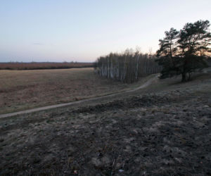 Biebrzański Park Narodowy UGASZONY. Zobacz, jakie zniszczenia spowodował ogień