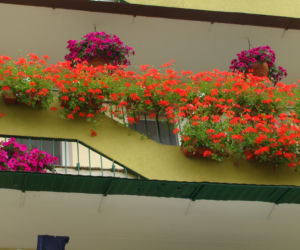 Najpiękniejsze balkony w Starachowicach