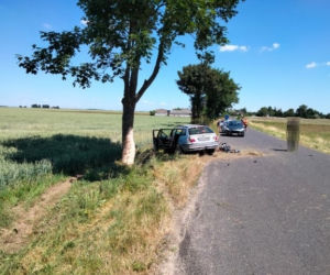 Nie żyje pasażer bmw, a kierowca walczy o życie! Auto roztrzaskało się o drzewo pod Działdowem [ZDJĘCIA]