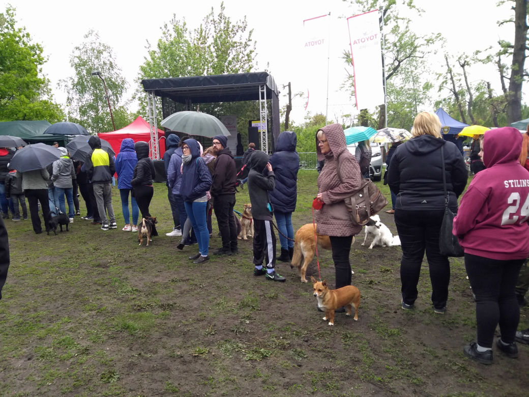 Piknik Przyjaciół Schroniska