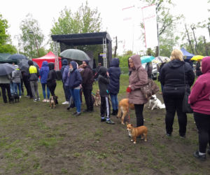Piknik Przyjaciół Schroniska