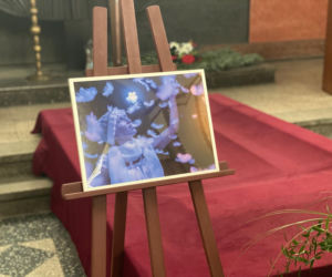 Wyjątkowy gest żałobników. Tak uczczono pamięć Magdaleny Majtyki