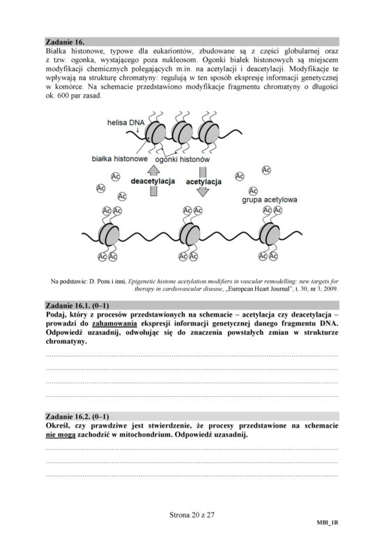 Matura 2018 z biologii. Poziom rozszerzony - arkusze CKE