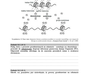 Matura 2018 z biologii. Poziom rozszerzony - arkusze CKE