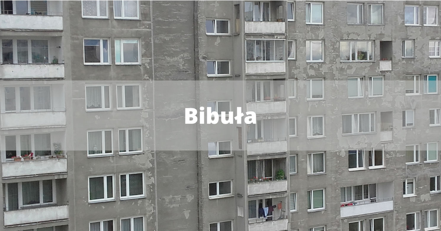 Bibuła