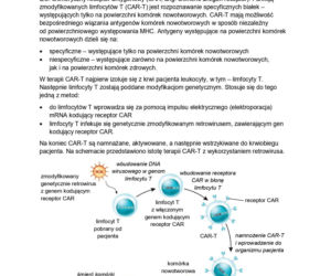 Matura 2026 biologia poziom rozszerzony - arkusz CKE