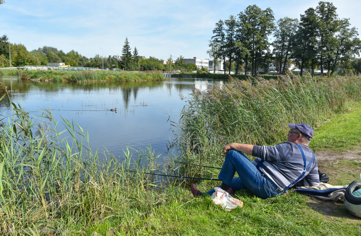 Miasto z Klimatem. Białystok zwyciężył w ogólnopolskim konkursie [ZDJECIA]