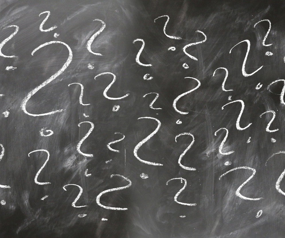 Sprawdź, czy wiesz co oznaczają te słowa? Rozwiąż nasz QUIZ!