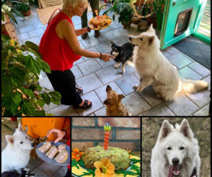 Małgorzata Ostrowska