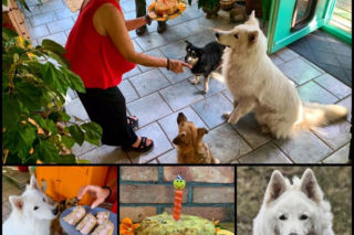 Małgorzata Ostrowska