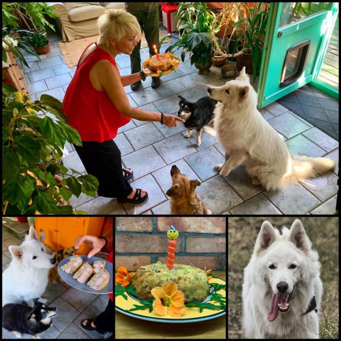 Małgorzata Ostrowska