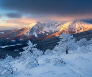 Prognoza pogody 15 i 16 lutego. Czy mróz znów zaskoczy Polskę?