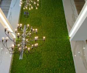 Green Decor