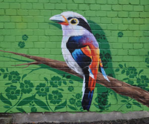 Białostockie murale. Te prace są niesamowite!
