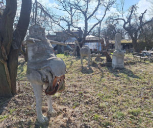 Surrealistyczne rzeźby zdobią ogród. Budzą niepokój i ciekawość