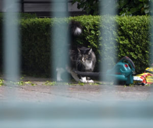 Małgorzata Kidawa-Błońska wreszcie ma czas na swoje pasje