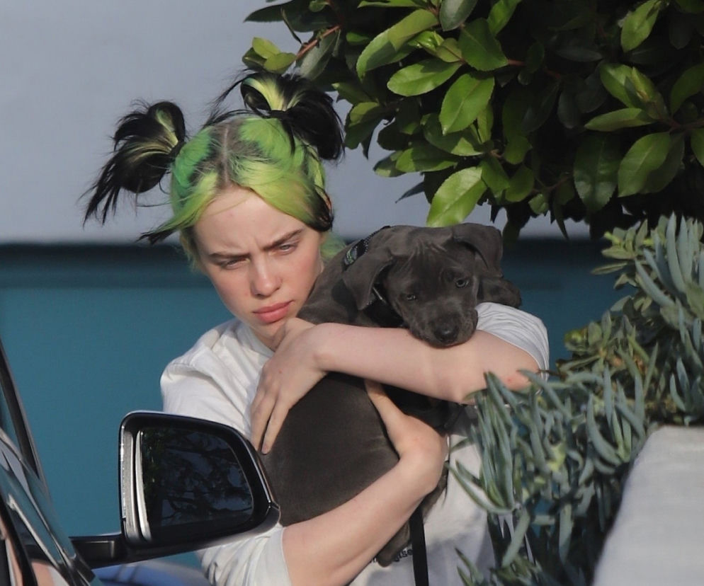 Billie Eilish